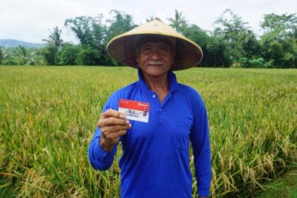BRI sebagai mitra strategis pemerintah terus konsisten mendukung petani melalui berbagai inisiatif yang telah dijalankan. Upaya tersebut diwujudkan dalam bentuk pembiayaan, pendampingan usaha, hingga program pemberdayaan berbasis komunitas. Foto: Dok BRI