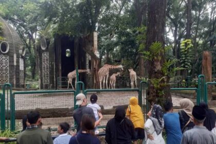 Ilustrasi, Pengunjung taman nasional Margasatwa Ragunan. Foto: Istcok