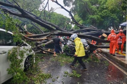 Pohon tumbang di Jalan Dharmawangsa menimpa mobil, Kamis (30/10/2025). Foto: Instagram @jakarta.kabarku