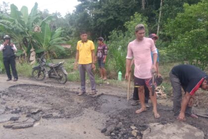 Perbaikin jalan di Desa Dwijaya Dusun V. Foto: Ist