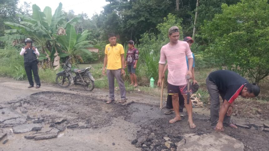 Perbaikin jalan di Desa Dwijaya Dusun V. Foto: Ist