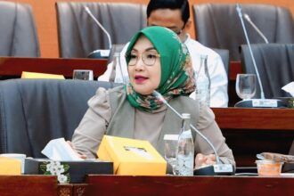 Anggota Komisi VI DPR RI Imas Aan Ubudiyah. Foto: