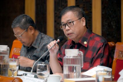 Anggota Komisi X DPR RI, Sofyan Tan. Foto: