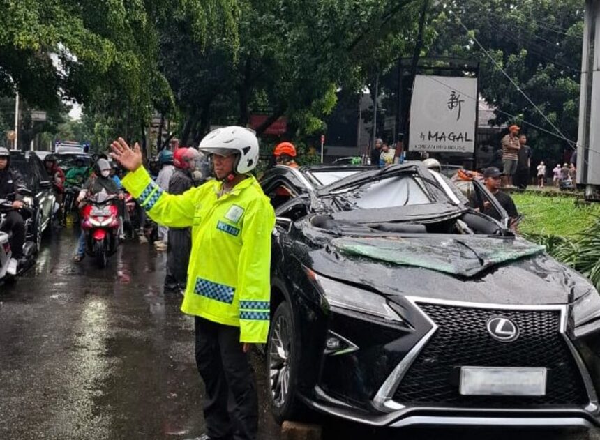 Mobil Lexus ringsek tertimpa pohon tumbang di Pondok Indah, Minggu (26/10/2025). Foto: X @TMCPoldaMetro
