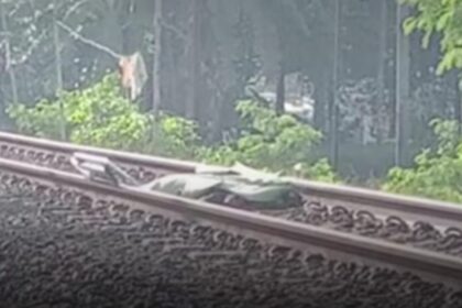 Seorang pria tewas tertabrak kereta api di Sukabumi. Penemuan jasad tersebut segera dilaporkan ke pihak stasiun dan Polsek Cisaat. Foto: Tangkap layar IG @sukabumiupdatecom