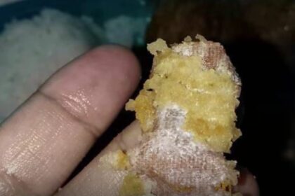 Penemuan benda asing berupa plester bekas di dalam menu Makan Bergizi Gratis (MBG) yang dibagikan kepada siswa sekolah dasar. Foto: Tangkap layar IG @sukabumiupdatecom
