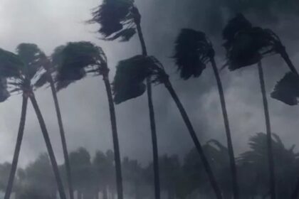 Foto: Envato/twenty20photos