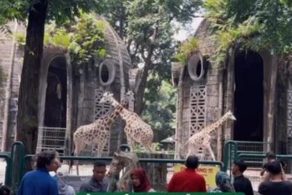 Taman Margasatwa Ragunan