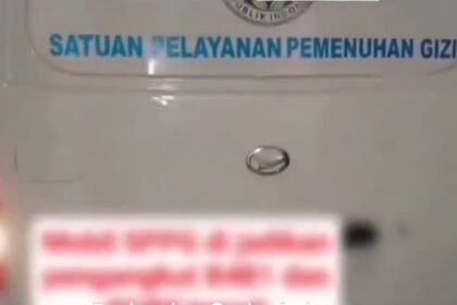 Mobil berlabel dan bertuliskan Badan Gizi Nasional dipakai untuk mengangkut hewan ternak ayam dan babi. Foto: Tangkapan layar video viral