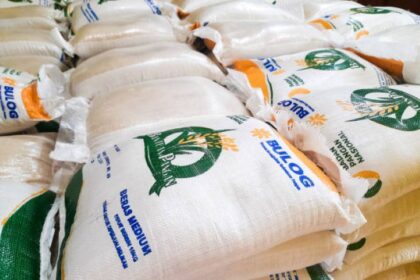 Bapanas ungkap 29,9 ribu ton beras Bulog turun mutu, realisasi penyaluran masih rendah. Foto: Istcok @Ranah Pixel Studio