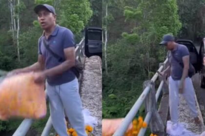 Petani buang bunga gumitir. Foto: Tangkapan layar Instagram @infokarangasem_id