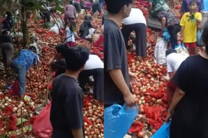 Warga mengambil bawang merah dan bawang bombay yang ditemukan menumpuk di kawasan Melcem, Tanjung Sengkuang, Batu Ampar, Batam, Minggu (26/10/2025). Foto: Tangkapan layar Instagram @ulujamitv