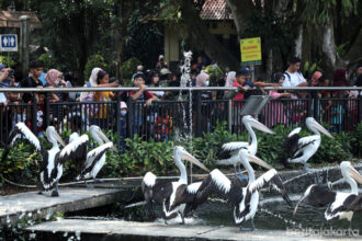Taman Margasatwa Ragunan