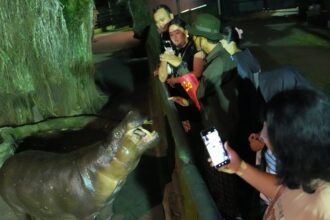 Pengunjung wisata malam Taman Margasatwa Ragunan. Foto: Instagram @ragunanzoo