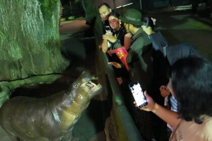 Pengunjung wisata malam Taman Margasatwa Ragunan. Foto: Instagram @ragunanzoo