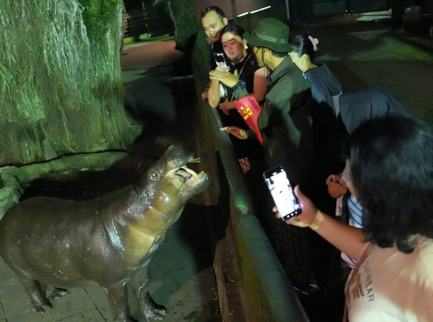 Pengunjung wisata malam Taman Margasatwa Ragunan. Foto: Instagram @ragunanzoo