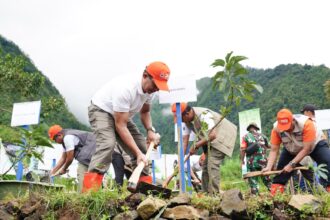 Kepala BNPB Suharyanto, menghadiri dan melakukan penanaman bibit pohon pada puncak penanaman pohon sebagai upaya mitigasi vegetasi di Dusun Sirengkel, Desa Mlandi, Kecamatan Garung, Kabupaten Wonosobo, Jawa Tengah, Jumat (21/11/2025). Foto: Ist
