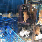 Ilustrasi. Foto: Instagram @kabupatenkepulauanseribu