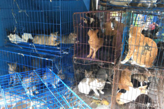 Ilustrasi. Foto: Instagram @kabupatenkepulauanseribu