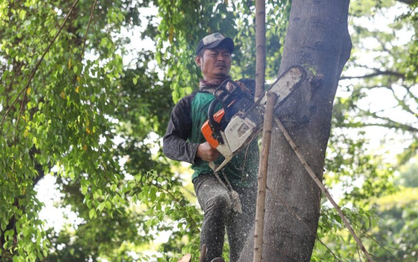 Pemangkasan pohon di Jakarta. Foto: Ist