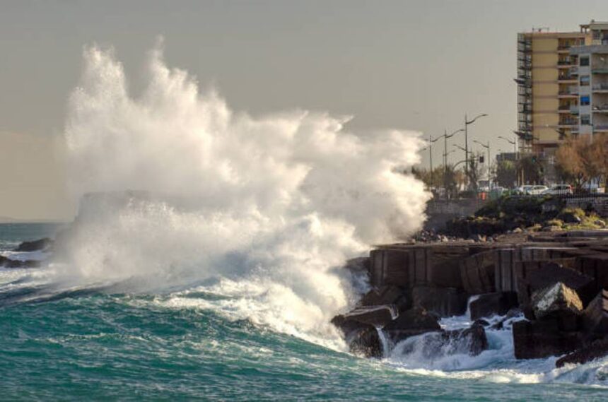 Ilustrasi. Foto: iStock
