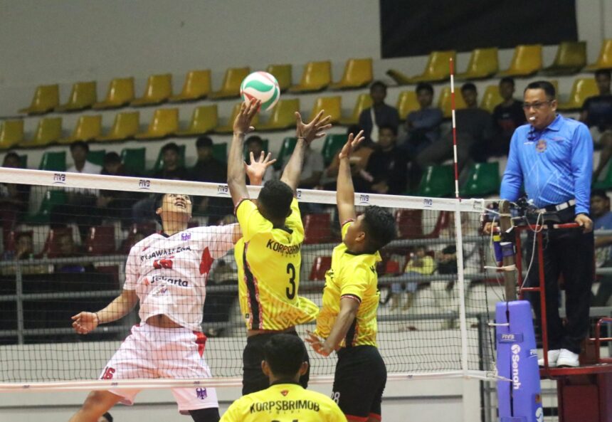 Voli Piala Ketum kembali menampilkan pertandingan seru pada Minggu (9/11/2025) di Padepokan Voli Jenderal Kunarto, Sentul. Dalam laga tersebut, Rajawali Z&A yang hanya membawa delapan pemain tampil luar biasa dan sukses membenamkan Teratai dengan skor telak 3-0 (25-15, 25-19, 25-20) dalam grup D.