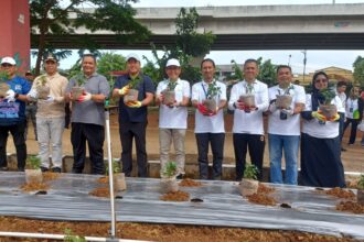 Wakil Wali Kota Jakarta Timur, Kusmanto dan jajaran bersama Pemimpin Wilayah PT Pegadaian Wilayah VIII Jakarta 1, Ahmad Zaenudin beserta jajaran, dalam kegiatan urban farming penanaman bibit cabai, tomat dan timun, untuk Memperingati World Habitat Day 2025 di bantaran Kali Cipinang Melayu di Jalan Manunggal 1, (Kalimalang), Kecamatan Makasar, Jakarta Timur, Jumat (14/11/2025). Foto: Joesvicar Iqbal/ipol.id