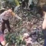 Lokasi penemuan Alvaro. Foto: ipol.id