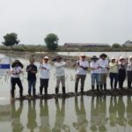 Kegaiatan Penanaman 10.180 Mangrove yang menjadi bagian dari realisasi Collective Carbon Action BATIC 2025 di Tanjung Pakis, Jawa Barat, beberapa waktu yang lalu. Foto: Telkom Indonesia