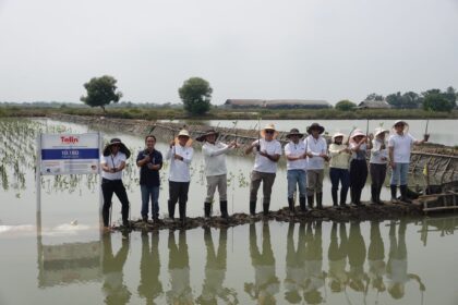 Kegaiatan Penanaman 10.180 Mangrove yang menjadi bagian dari realisasi Collective Carbon Action BATIC 2025 di Tanjung Pakis, Jawa Barat, beberapa waktu yang lalu. Foto: Telkom Indonesia