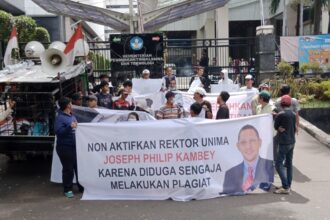 demo rommy unima