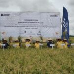 Program Pembinaan Petani Kebumen 2025, hasil kolaborasi Bank Mandiri dengan Universitas Gadjah Mada (UGM) melalui PT Karya Utama Gama (KUGAMA). Foto: Bank Mandiri