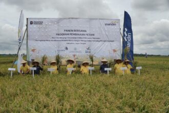 Program Pembinaan Petani Kebumen 2025, hasil kolaborasi Bank Mandiri dengan Universitas Gadjah Mada (UGM) melalui PT Karya Utama Gama (KUGAMA). Foto: Bank Mandiri