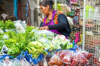 Ilustrasi Pedagang di pasar tradisional menata komoditas pangan yang harganya tercatat naik berdasarkan data PIHPS Nasional, termasuk cabai rawit merah yang kini mencapai Rp52 ribu per kilogram. Foto: Istcok @Natalia Kokhanova