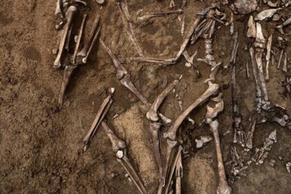 Ilustrasi kerangka. Foto: shutterstock