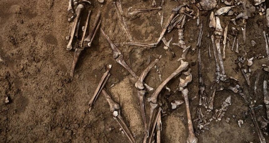 Ilustrasi kerangka. Foto: shutterstock