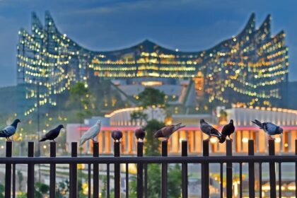 Ibu Kota Nusantara. Foto: Instagram @otorita_ikn