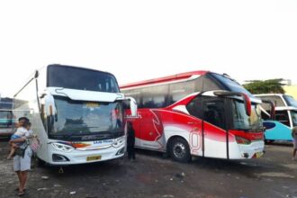 mudik