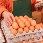 Ilustrasi telur. Foto: iStock