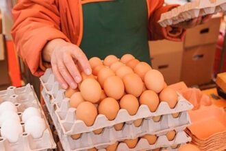 Ilustrasi telur. Foto: iStock