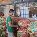 pedagang sibuk mengemas sejumlah jagung ke dalam karung di Pasar Induk Kramat Jati, Jakarta Timur, Rabu (31/12/2025). Foto: Joesvicar Iqbal/ipol.id