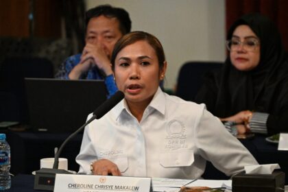 Anggota Komisi XII DPR RI, Cheroline Chrisye Makalew