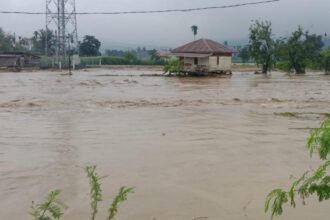 Banjir yang melanda wilayab Kabupaten Aceh Tenggara, pada Kamis (27/11/2025). Foto: BPBD Aceh Tenggara