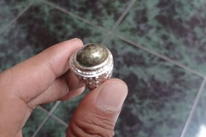 Batu badar emas memiliki tampilan fisik, membuat batu yang tengah melalui proses alami tampak mencolok dan terkesan mewah, Senin (1/12/2025). Foto: Joesvicar Iqbal/ipol.id