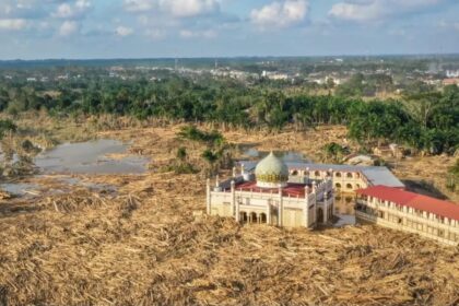Tumpukan kayu hanyut di lokasi banjir Aceh material ini kini diizinkan Kemenhut untuk dimanfaatkan dalam kebutuhan darurat pemulihan. Foto: IG @berita_aceh