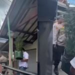 Polisi menggerebek rumah kontrakan di Jombang yang dijadikan lokasi budidaya ganja. Foto: Tangkap layar IG @lagi.viral