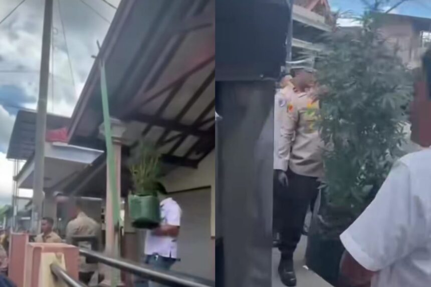 Polisi menggerebek rumah kontrakan di Jombang yang dijadikan lokasi budidaya ganja. Foto: Tangkap layar IG @lagi.viral