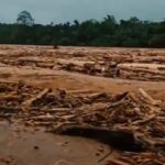 Kayu yang terbawa dalam banjir di Sumatra. Foto: Tangkapan layar video viral