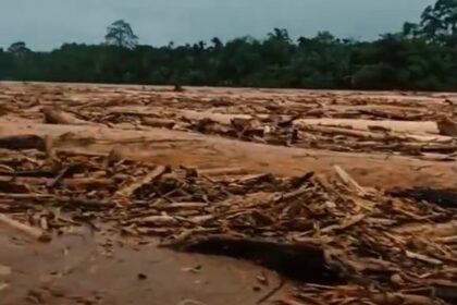 Kayu yang terbawa dalam banjir di Sumatra. Foto: Tangkapan layar video viral
