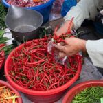 PIHPS Catat Harga Cabai dan Telur Masih Tinggi di Pasar Nasional